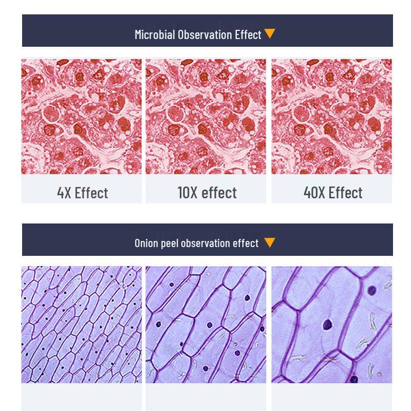 Star Micro Optics Professional Biological Microscope