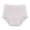 Women's Spring and Autumn Pure Cotton Medical Grade 10A Antibacterial Crotches High Waist Belly Support Pregnant Women Special Briefs