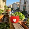 Mini 3D Printed Plant Pot Heart Pattern Eco-Friendly Planter Mini Succulent Pots  Office