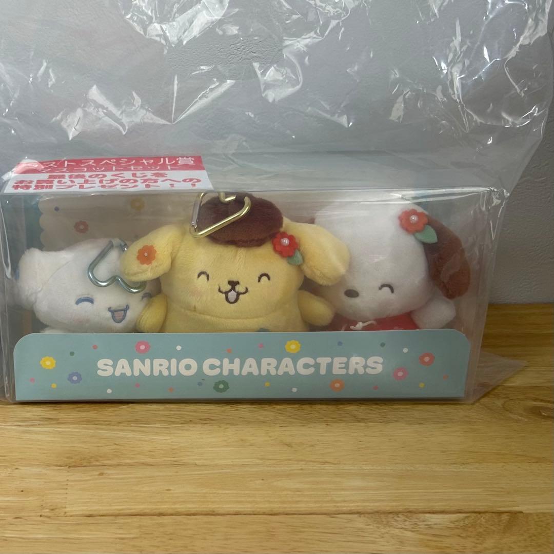 Sanrio Winning Lottery Last One Prize Cinnamoroll Pompompurin Pochacco