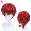 High Quality  Anime Ranma 1/2 Ranma Cosplay Wig Ranma Black Rose Red Braided Halloween Party Role Play Wigs + Wig Cap
