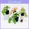 Simulation Epipremnum Aureum Potted Artificial Faux Plant For Photography And Home Styling