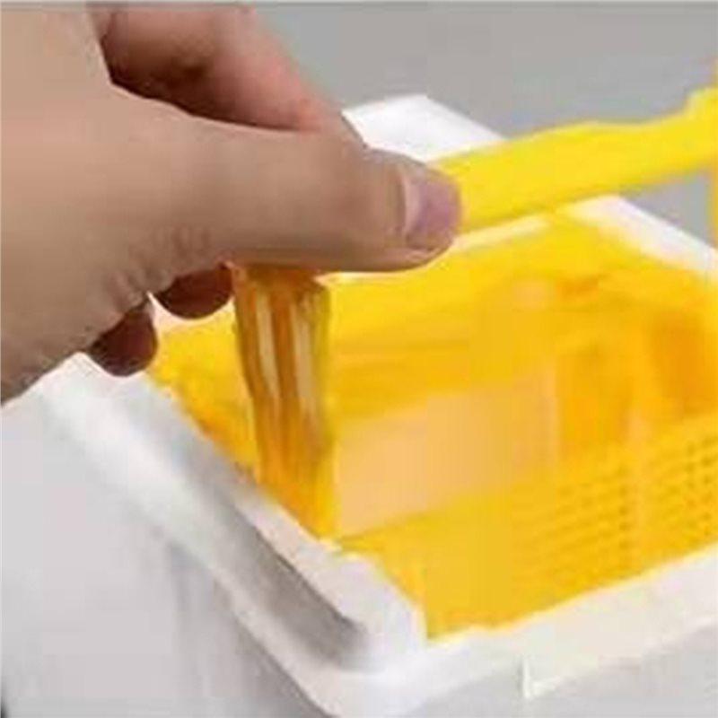 Queen Bee Rearing Mating Beehive Beekeeping Tool Foam Pollination Box Bee Breeding Foam Box For Bees Equipment