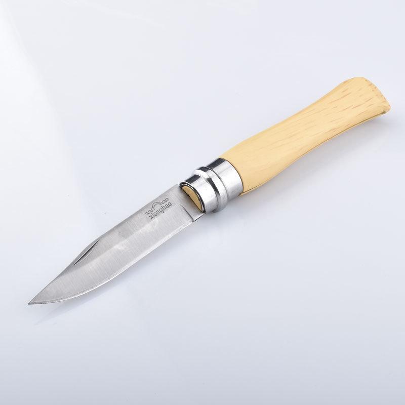 Portable Stainless Steel Folding Fruit and Peeling Knife - Everyday Carry with Sharp, Flexible Blade