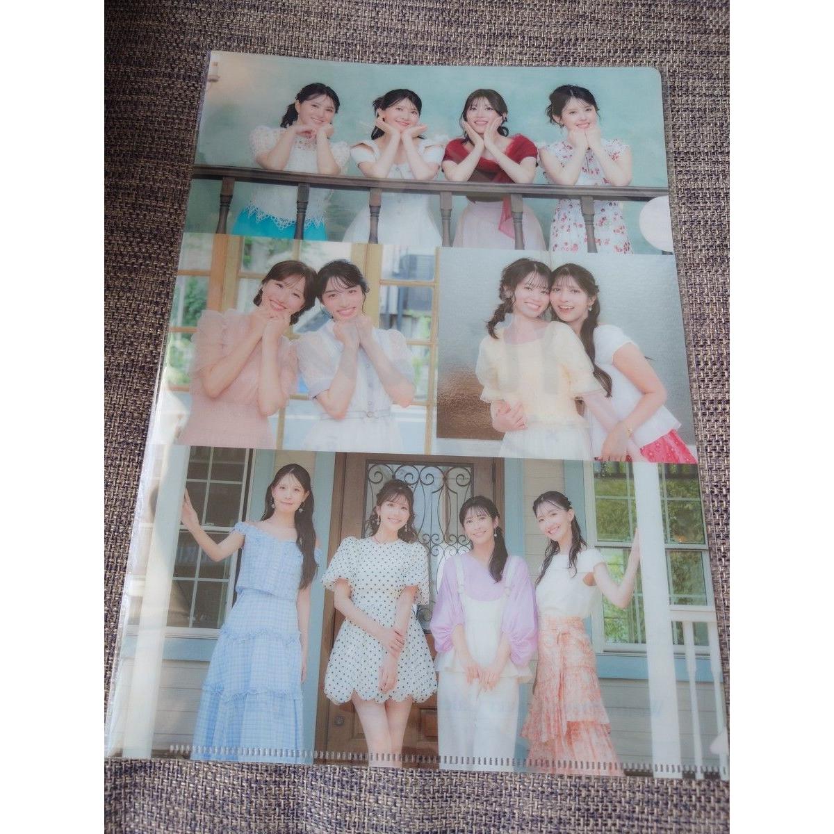 Used Weather news caster autographed clear file Mizuki Tokita winning item