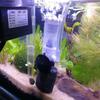 1 Stück Kleiner Fischbehälter Ökologische Flasche Aquarium Filter Belüftete Luftpumpe mit eingebautem leisen Fischkot-Absauggerät