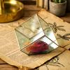 Geometric Copper Glass Greenhouse Flower Container - Large, Medium, Small Square Box for Preserved Flowers