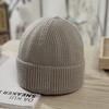 Hat for Women In Winter Light Plate Warm Solid Color Knitted Hat Korean Style Student Cute Couple Melon Skin Landlord Wool Hat Men