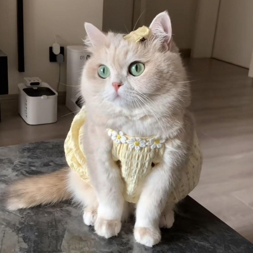 Soft Cat Princess Skirt Sweet Pet Suspenders Cat Pretty Dress Dog Plaid Dress  Spring Summer