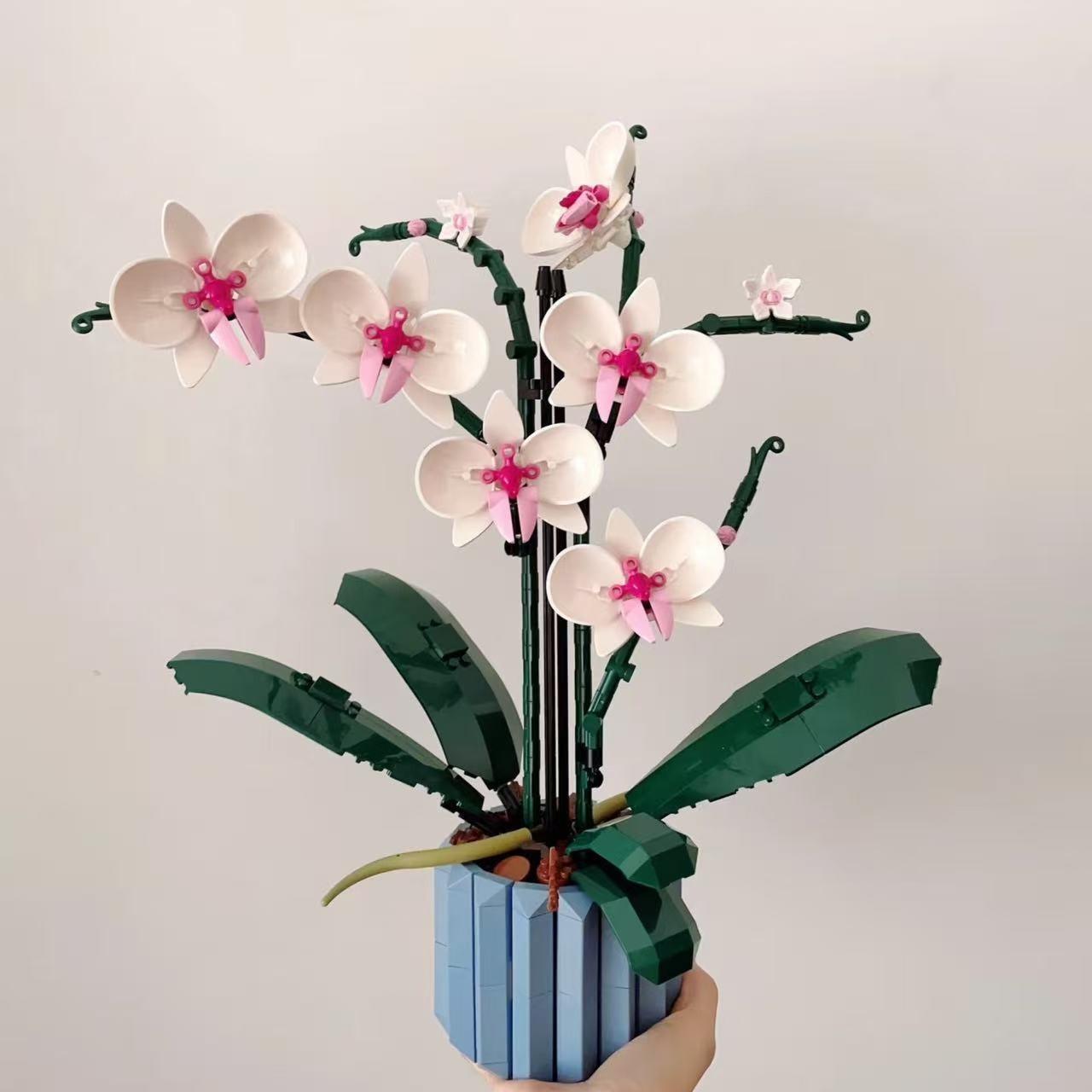 An Orchid Bouquet Is An Ideal Present For Kids Suitable For Household Decoration And Is A Perfect Small Accessory