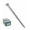 MAXICAJA STEEL TIP FLAT HEAD ZINC PLATED NAIL POINTS 2.5x30