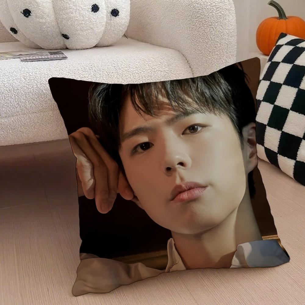 Charming Korean Handsome Actor PPark Bogum Cushion Cover Throw Pillow Cover Hidden Button Durable Polyester Chair Cushion