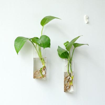 Fish Tank Irregular Shape Wall-mounted Home Decorations Glass Crafts Hydroponic Vase Plant Container Flower Pot Flower Vase