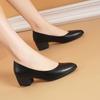 Spring Women's Low-Heel Pumps Black Leather Formal Shoes Slip-On Commuter Comfortable Mid-Heel Women's Singles Shoes