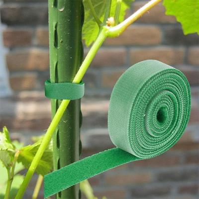 1/5/10 Rulle Nylon Växtband Växtbandage Krokögla Justerbart Växtstöd Återanvändbart Fästband för Hemträdgårdstillbehör
