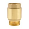 1 Inch Heavy Duty Brass Check Valve - Industrial Backflow Preventer for Well Pumps, Pipelines & Water Systems, One-Way Non-Return Valve