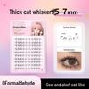 Dense Cat Whiskers 5-7mm Glue-Free False Eyelashes - Natural, Realistic, Long, Thin, Segmented for Newbies.