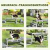 3 Pieces Wooden Dog Agility Training Equipment with Soft Bridge, Pause Platform and Pet Stair for Outdoor, Grey