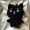 Young K Secret Plusle Keyring Devil Denimals Ke