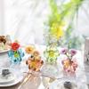 Creative Minimalist Colorful Flower Vases Hydroponic Glass Vases Flower Arrangements Dining Table Room Office Decorations