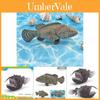 Pești și animale marine – Decorul acvariului
