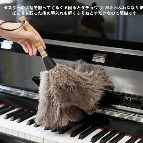 Ostrich feather duster, handy duster, anti-static, houseplant duster, ostrich feather