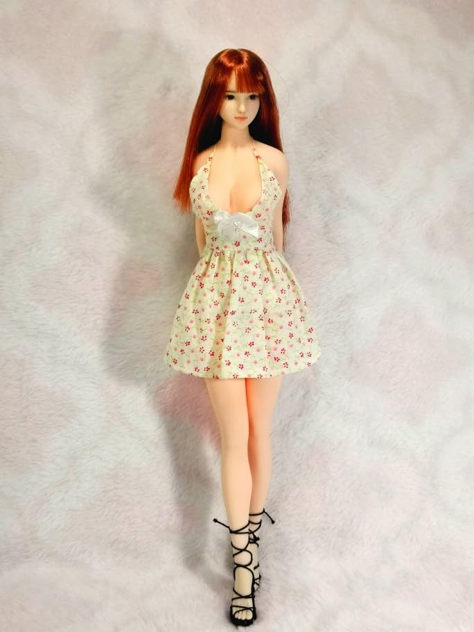 Scale Action Figure Compatible with TBLeague DMTOYS Beautiful High School Girl Fashion Sexy Floral Mini Dress Skirt and Shoes Not [TOYBARJAPAN] 1/6