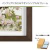 HAKUBA Liege Charite Photo Frame, Large, 3-Panel, Brown, FWLGC-BRL3