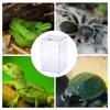 Frogs Insect Hatcher Container Hatching Terrariums Breeding Box Reptile Incubator Insect Supplies