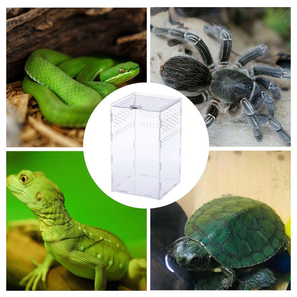 Frogs Insect Hatcher Container Hatching Terrariums Breeding Box Reptile Incubator Insect Supplies