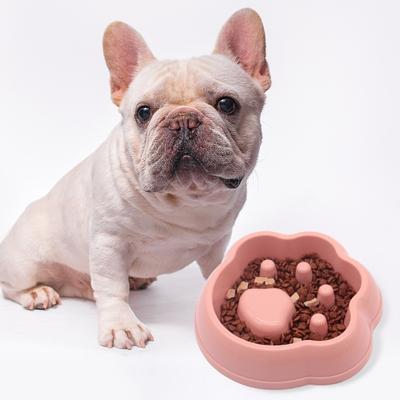 Cani – Distributori di cibo e acqua per gatti