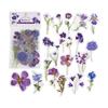 40 stuks Doe-het-zelf Vintage Vlinderstickers PET Bloemontwerp Plant Decoratieve Stickers Paddenstoelpatroon Margrietpatroon