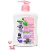 Dettol Moisturizing Care Hand Wash