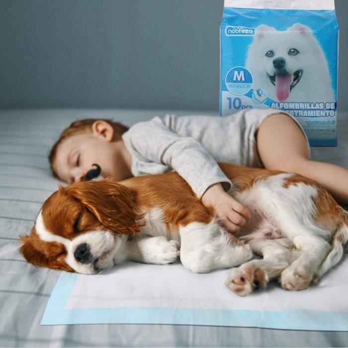 Nobleza - Lot De 100 Tapis D’hygiène Pour Chiens. Ultra-absorbant. 60x60cm.