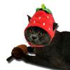 Cappello Costumi Frutta per Animali Domestici per Cani Gatti Carini Copricapo Cappello Accessori per Feste Animali Oggetti di Scena per Foto Adatto per Gatti e Cuccioli