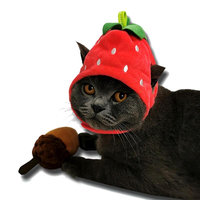 Cappello Costumi Frutta per Animali Domestici per Cani Gatti Carini Copricapo Cappello Accessori per Feste Animali Oggetti di Scena per Foto Adatto per Gatti e Cuccioli