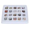 Rock Collection Kit Rock Fun Professional Mineral Rock Science Educational Kit for Children Boys