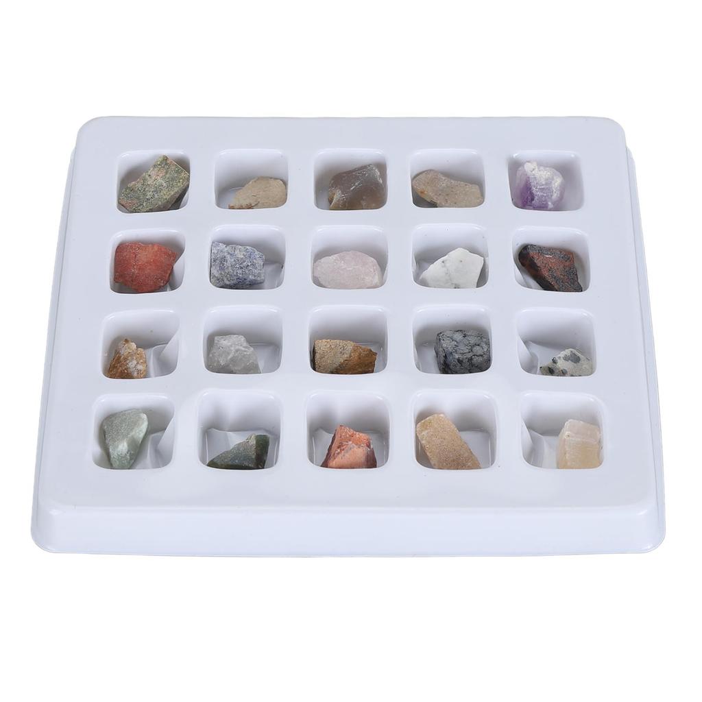 Rock Collection Kit Rock Fun Professional Mineral Rock Science Educational Kit for Children Boys
