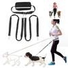 Anti-Tangle Dog Running Leash Reflective Stitching Hands Free Dog Leash  Outdoor Activities