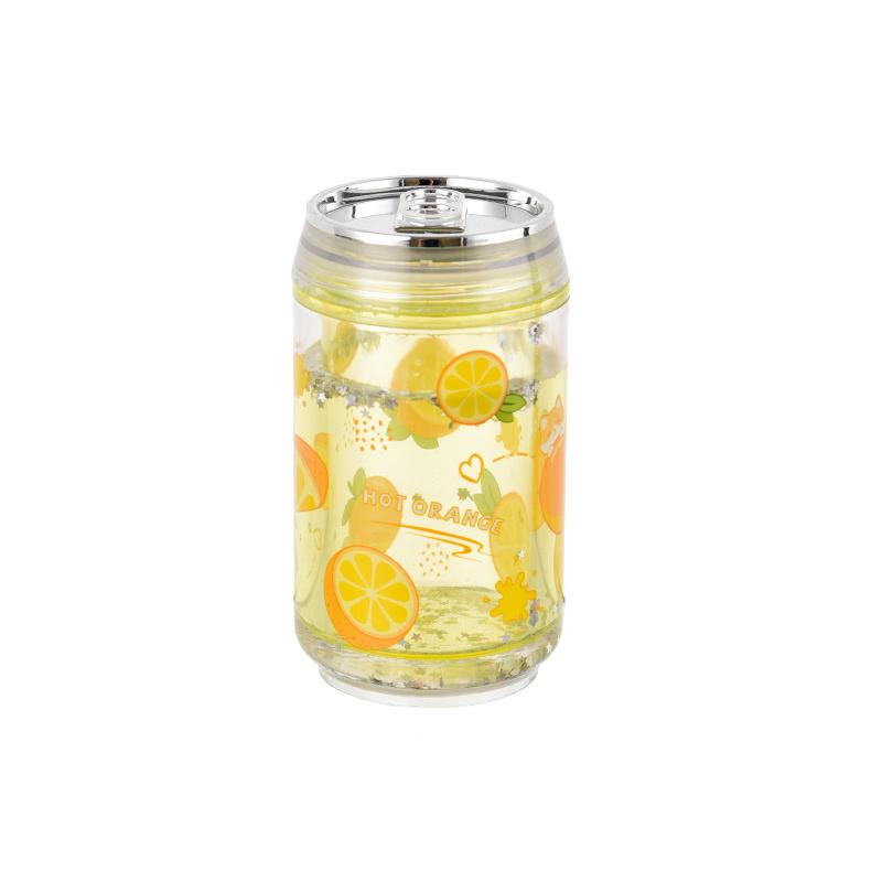 Korean Style Double-Layer Plastic Straw Cup