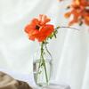 Gradient Color Hydroponic Vase Retro Flower Arranger Fashion Vase Ornaments