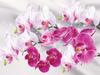 5D DIY Diamond Painting Orchid Rhinestone Pictures Full Round Diamond Embroidery Flower Crafts Kit Home Decor
