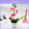 Artificial Orchid Plant Decorative Bonsai With Plastic Material For Home Decor And Gift Display