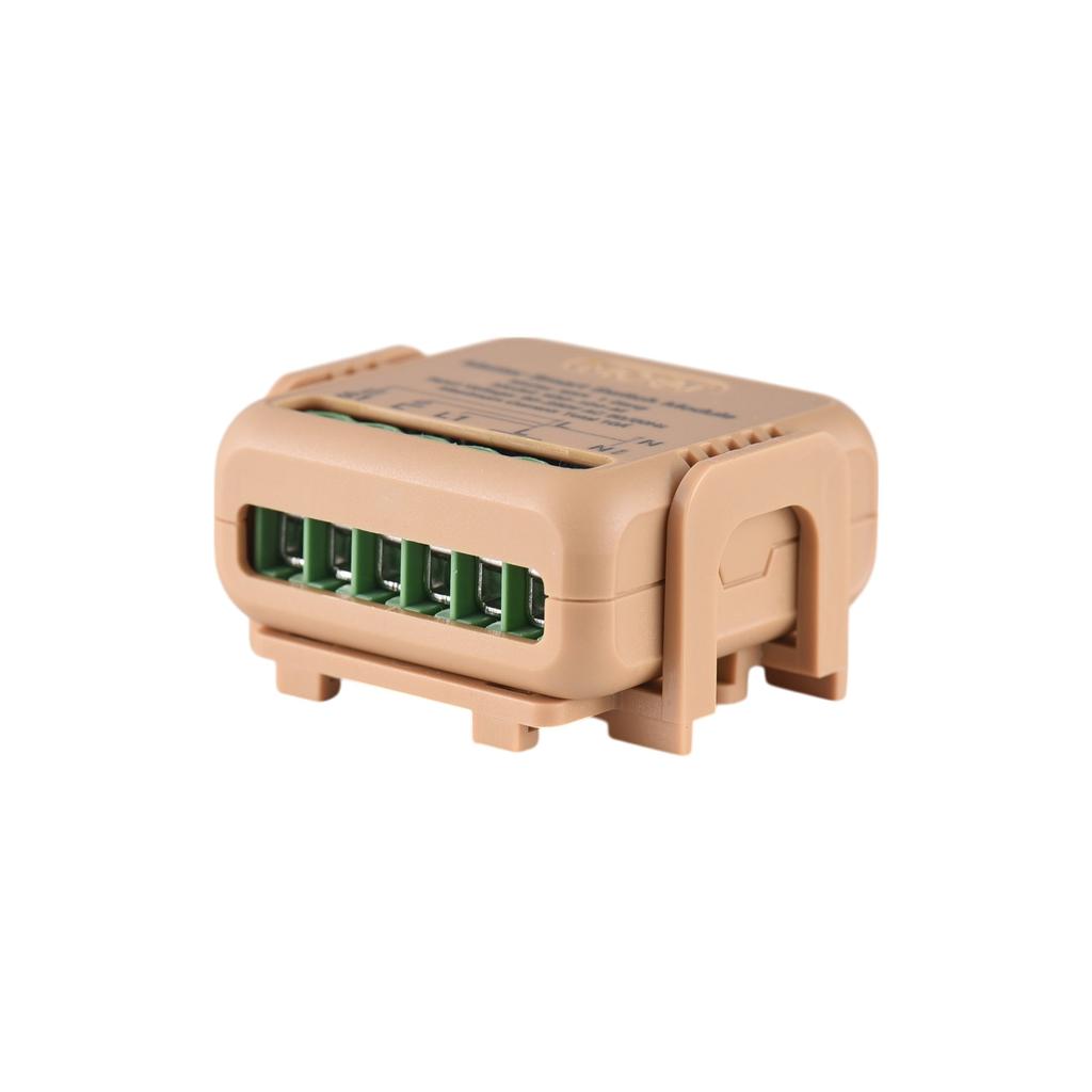 Matter Smart Switch TY WiFi Relay Module 10A Universal DIY Wireless Light Switch APP and Voice Control with Timer