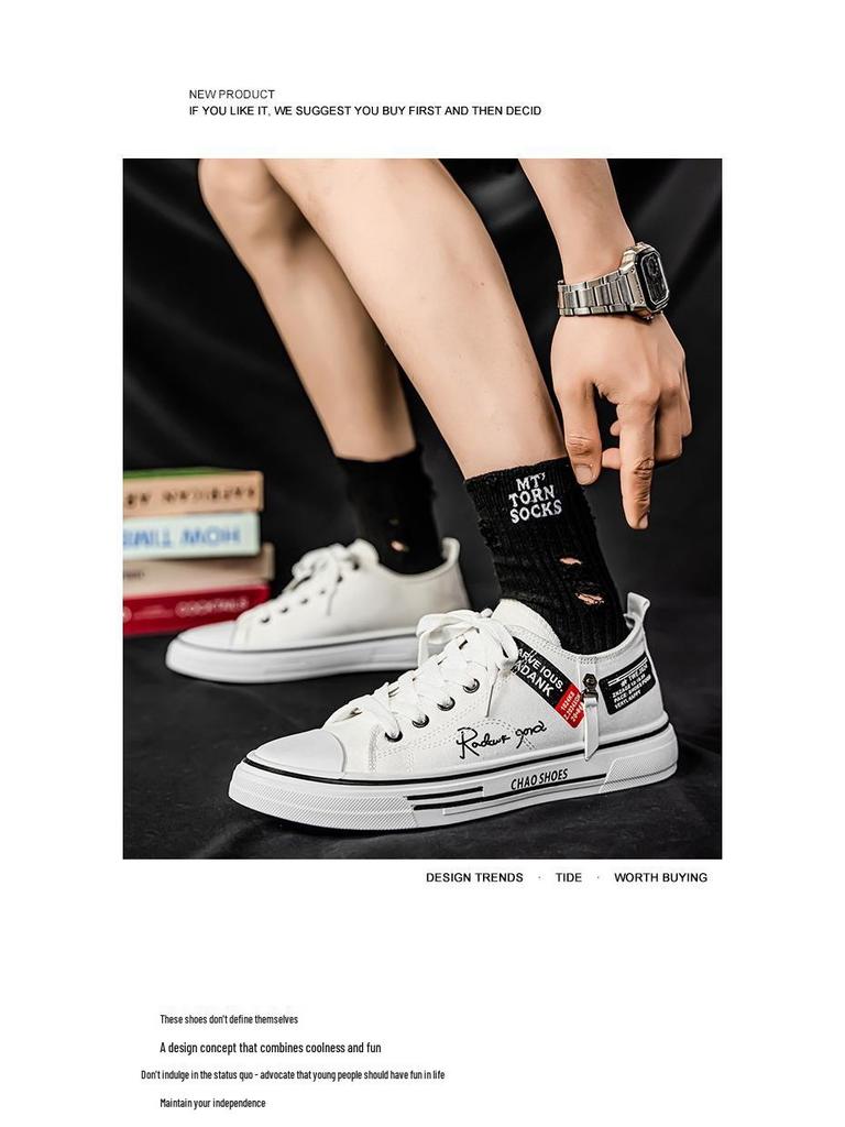 2025 Men's Breathable Versatile Canvas Sneakers - Trendy Summer Low-Top Casual Shoes for Youth
