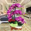 Phalaenopsis Topfpflanze – Künstliches Blumenarrangement für Heim- oder Restaurantdekoration