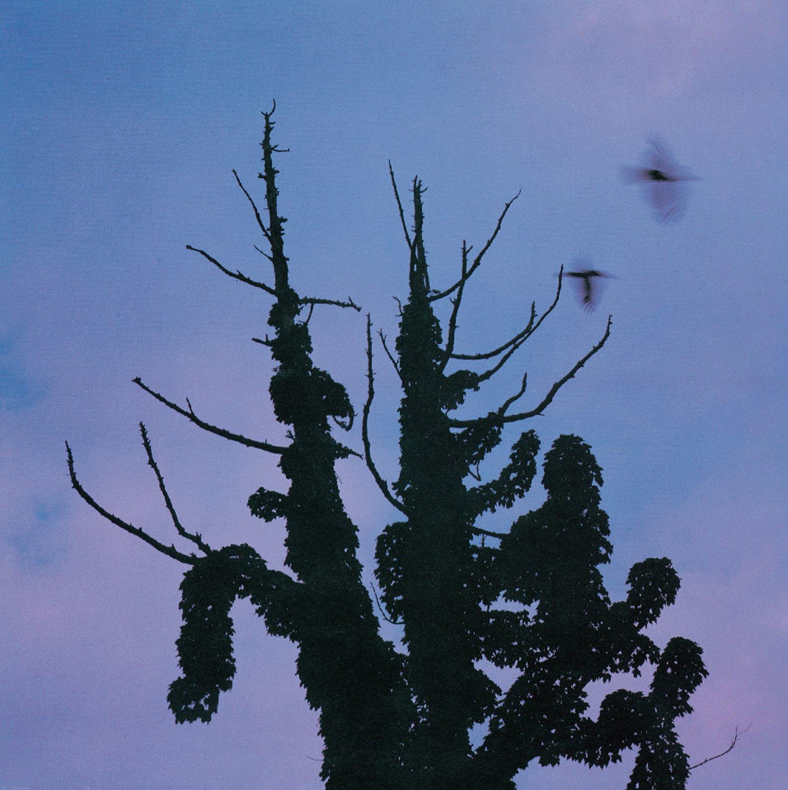 

MOKUBAN(SHM-CD)(reissue)(in Mini LP)(ltd.)