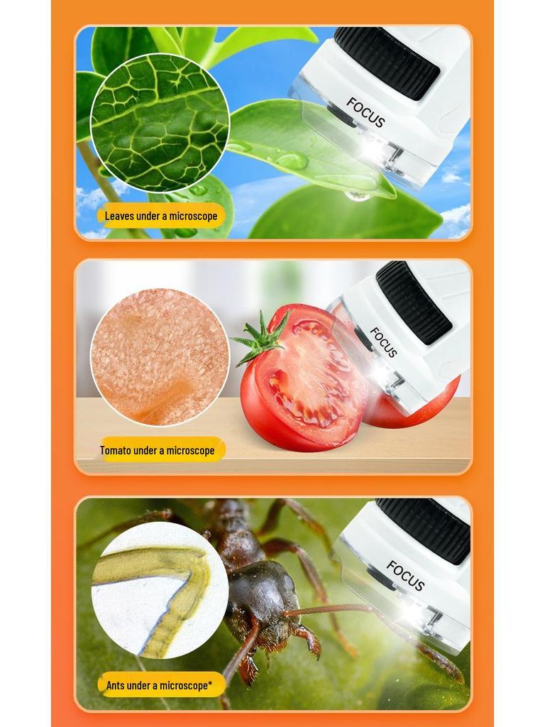 Xueyouma Kids' Portable Microscope Science Experiment Set for Elementary Students – Educational Biology Toy