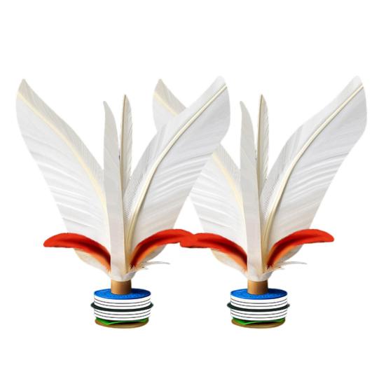 

1/2/5Pcs Shuttlecocks with Colorful Feather Shuttlecocks Feathers Lightweight Portable Thickened Outdoor Foot Sports Large 2pcs