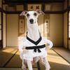 Martial Arts Costume for Dog Breathable 2 Leg Clothes For Small Dog Easy Wear Pet Halloween Party Dressingup Outfit